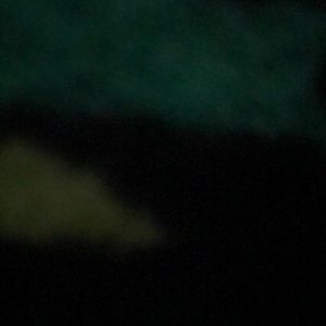 Meet your Posher, Jayleen